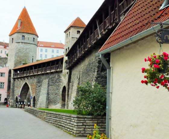 Ausflug für Rollstuhlfahrer in Tallinn