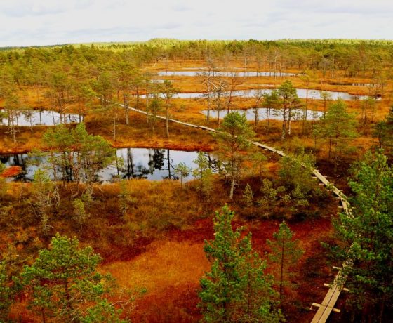 Lahemaa nationalpark